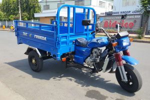 Lái Xe Ba Bánh Có Cần Bằng Lái Không? Điều Cần Biết Khi Tham Gia Giao Thông